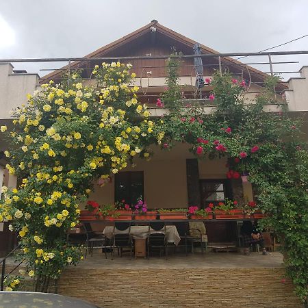 Casa Delia Otel Călimăneşti Dış mekan fotoğraf