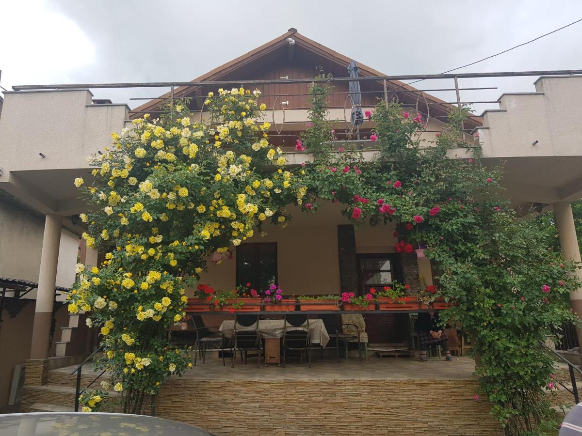 Casa Delia Otel Călimăneşti Dış mekan fotoğraf