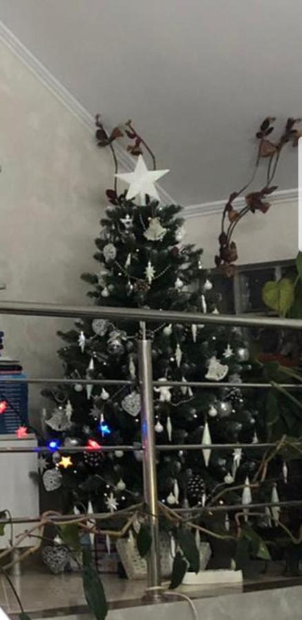 Casa Delia Otel Călimăneşti Dış mekan fotoğraf