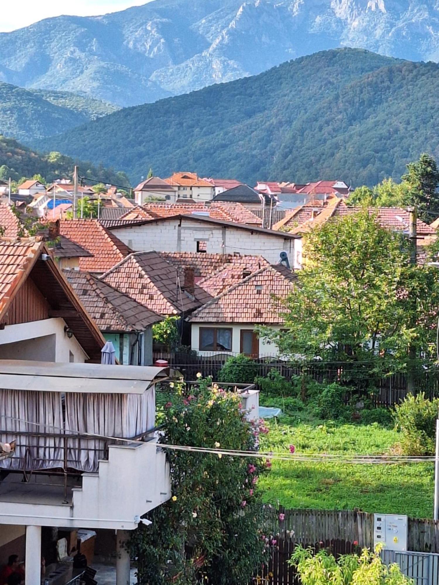 Casa Delia Otel Călimăneşti Dış mekan fotoğraf