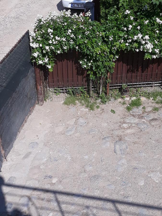 Casa Delia Otel Călimăneşti Dış mekan fotoğraf